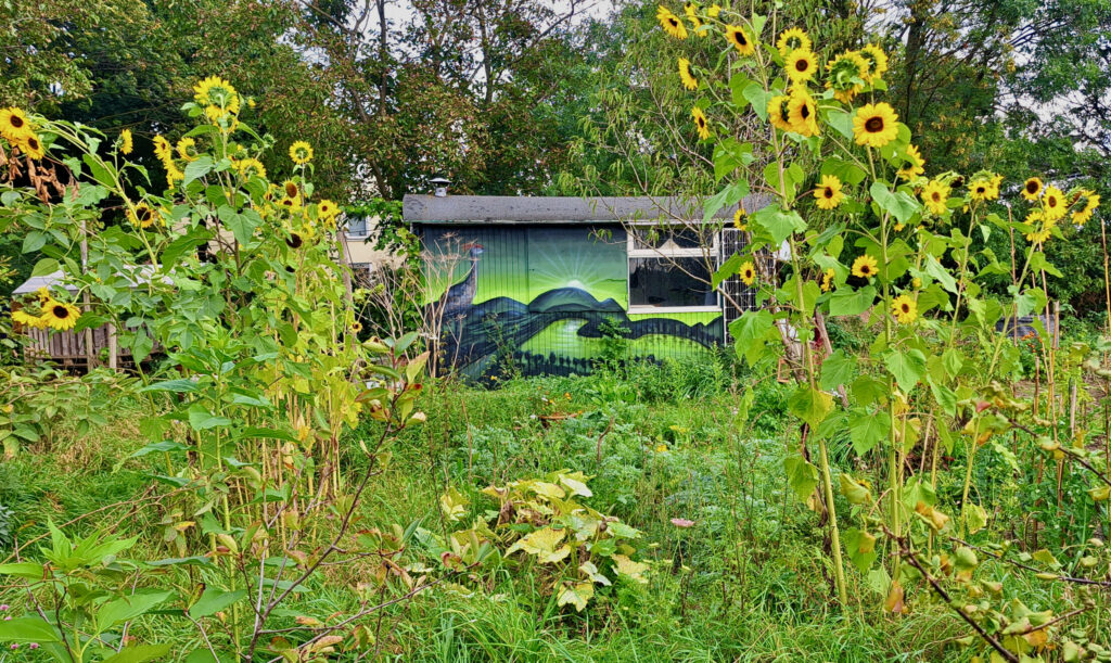 Naturgarten (Lack/Bauwagen, 2,5 x 6m)