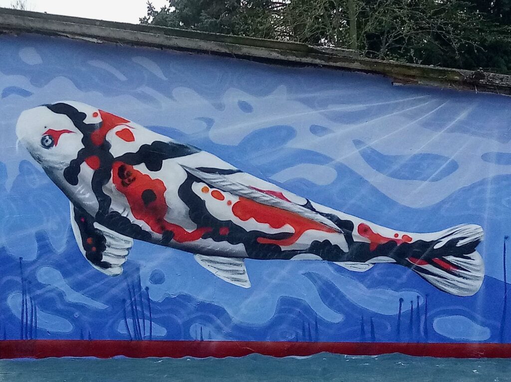 Koi (Lack/Wand, 3 x 1,80m)